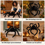 SpookySpider™ | Griezelige Halloween Spin