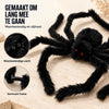 SpookySpider™ | Griezelige Halloween Spin