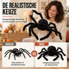 SpookySpider™ | Griezelige Halloween Spin