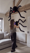 SpookySpider™ | Griezelige Halloween Spin