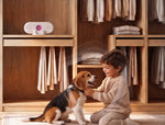 DryBuddy™| Compacte Vochtabsorber